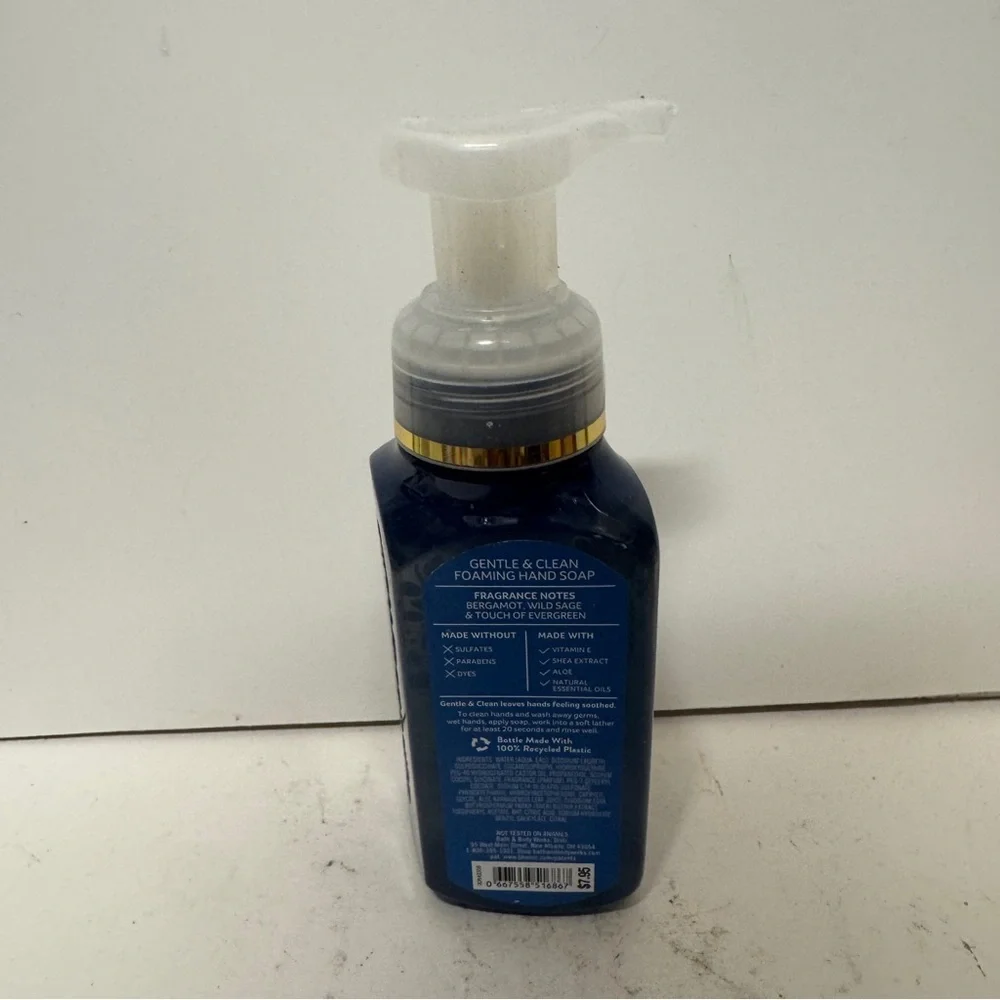 Bath Body Works Lakeside Life Gentle & Clean Foaming Hand Soap 8.75 OZ